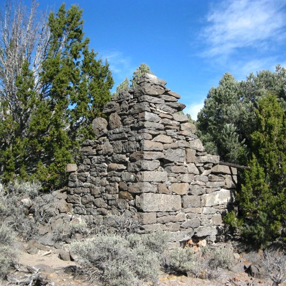 Meet your Posher, Jayma - Picture 8 of 16